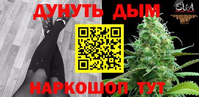 гашик Кунгур