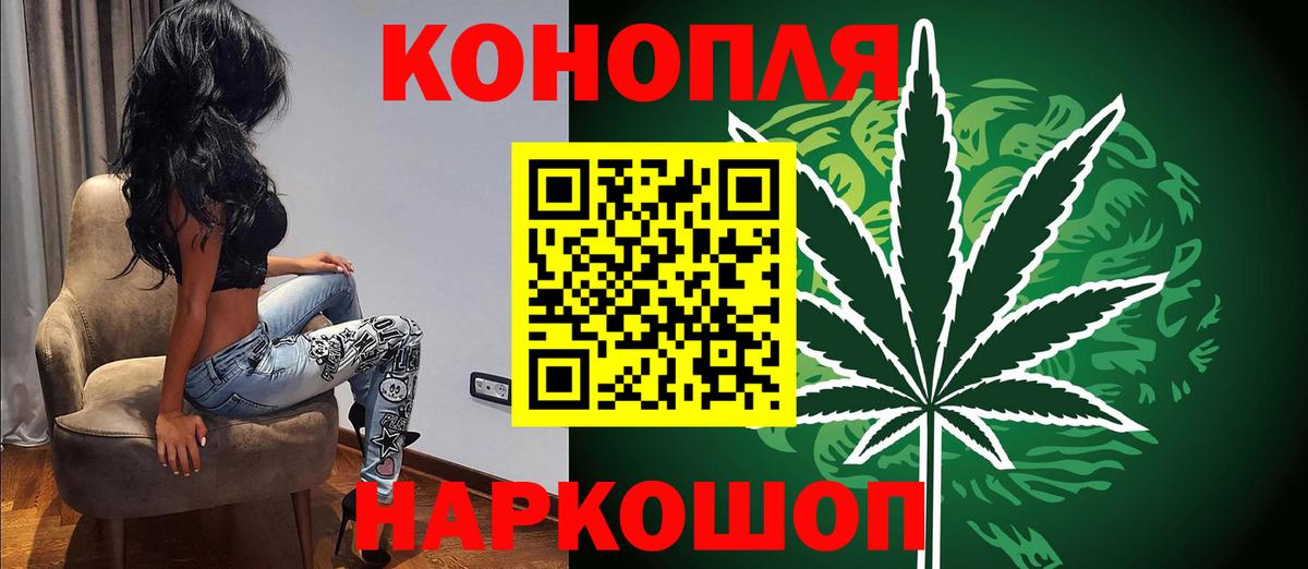 Каннабис гибрид  Вход с VPN  Канабис Bruce Banner  Изобильный  Канабис Bruce Banner  МАРИХУАНА White Widow 
